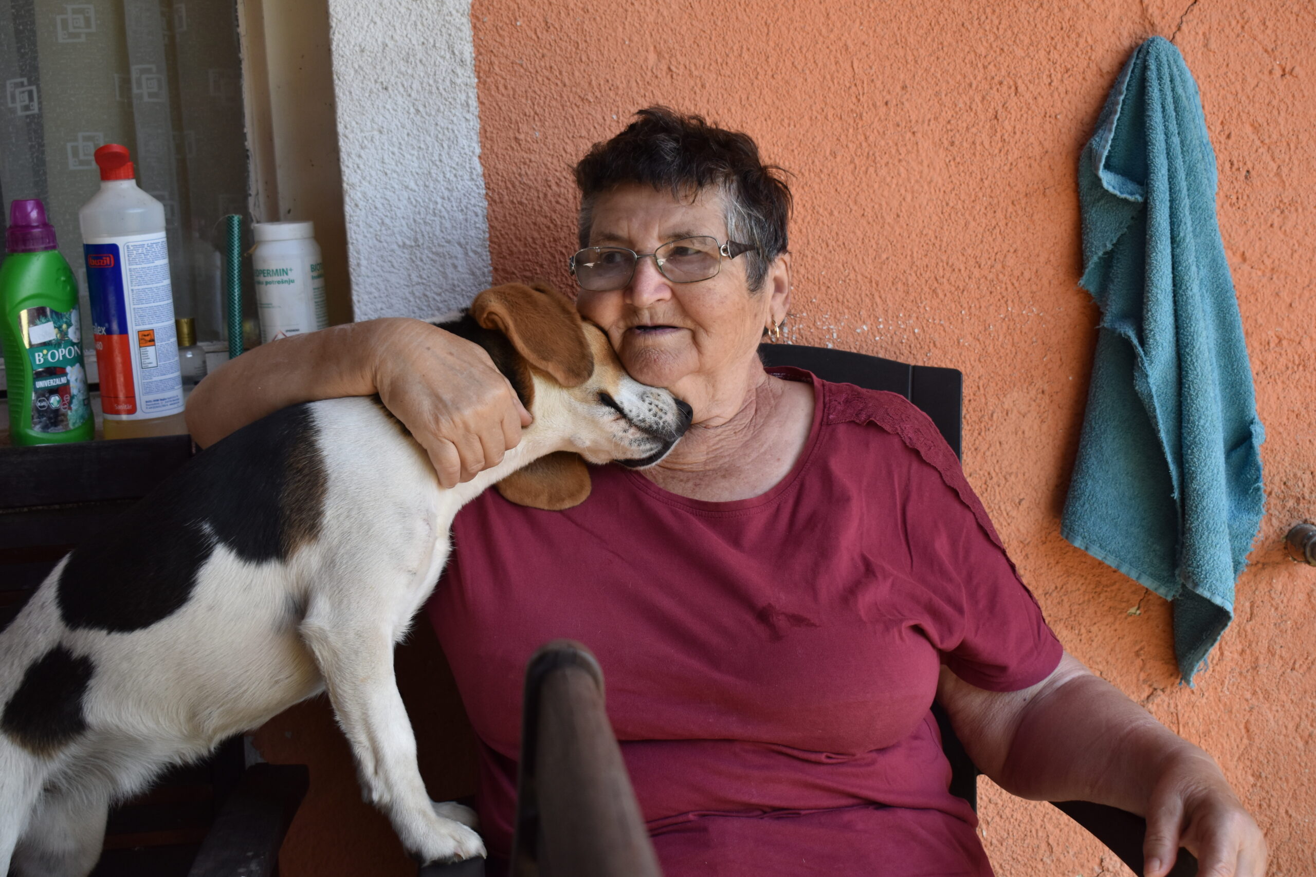 Stela Hat (2) Stela Hat (2)