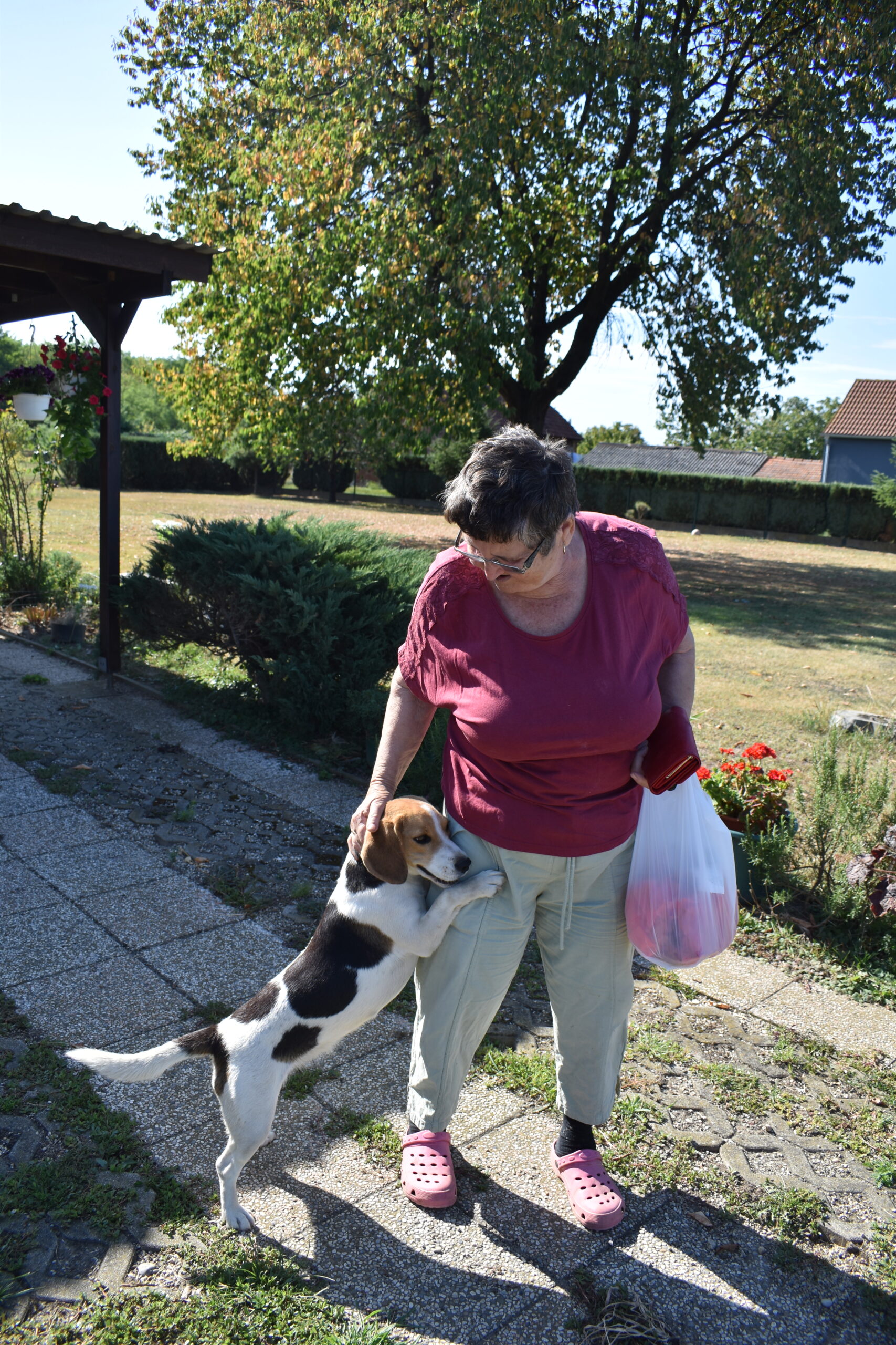 Stela Hat (4) Stela Hat (4)