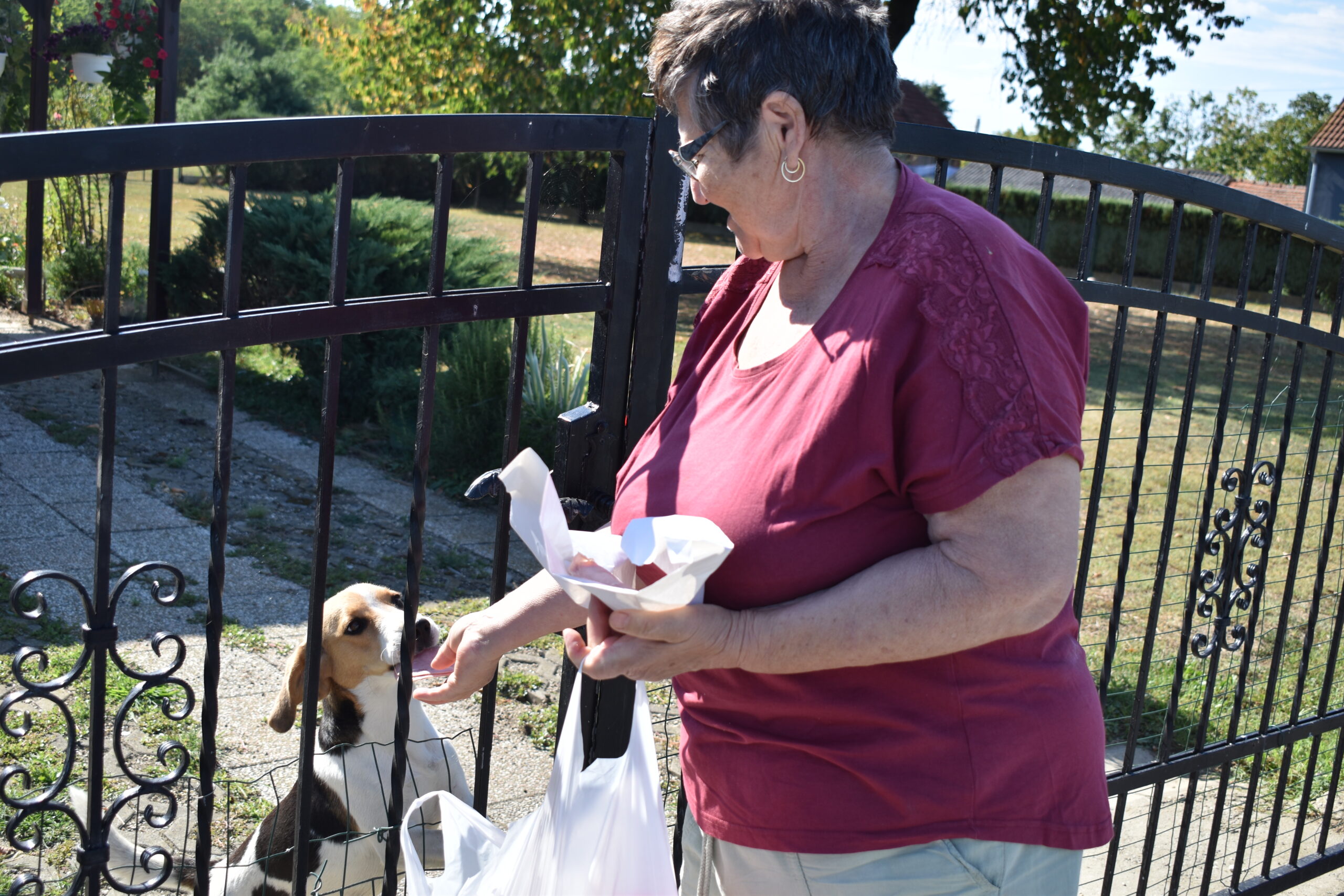 Stela Hat (5) Stela Hat (5)