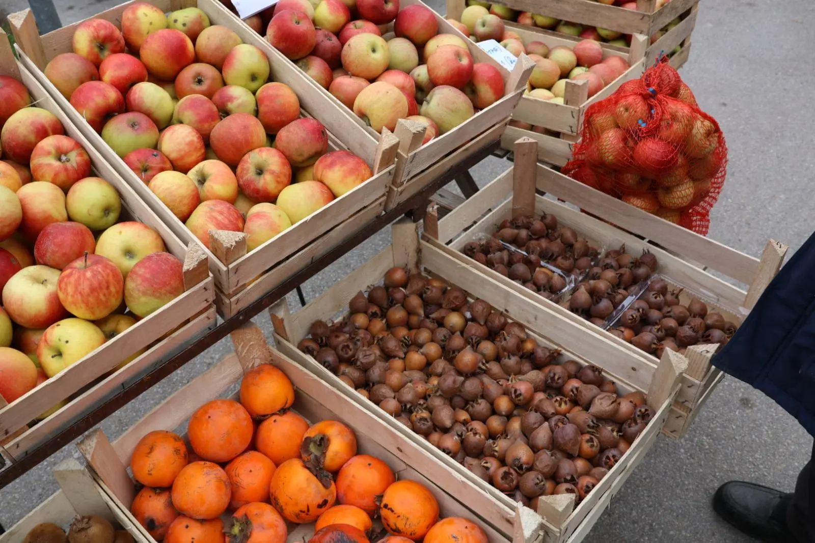 Stjepan Bogomolec, kaki, Prelog, tržnica, jabuke, kivi, mušmula (2) Stjepan Bogomolec, kaki, Prelog, tržnica, jabuke, kivi, mušmula (2)