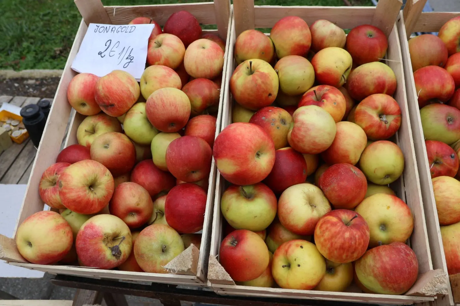 Stjepan Bogomolec, kaki, Prelog, tržnica, jabuke, kivi, mušmula (4) Stjepan Bogomolec, kaki, Prelog, tržnica, jabuke, kivi, mušmula (4)