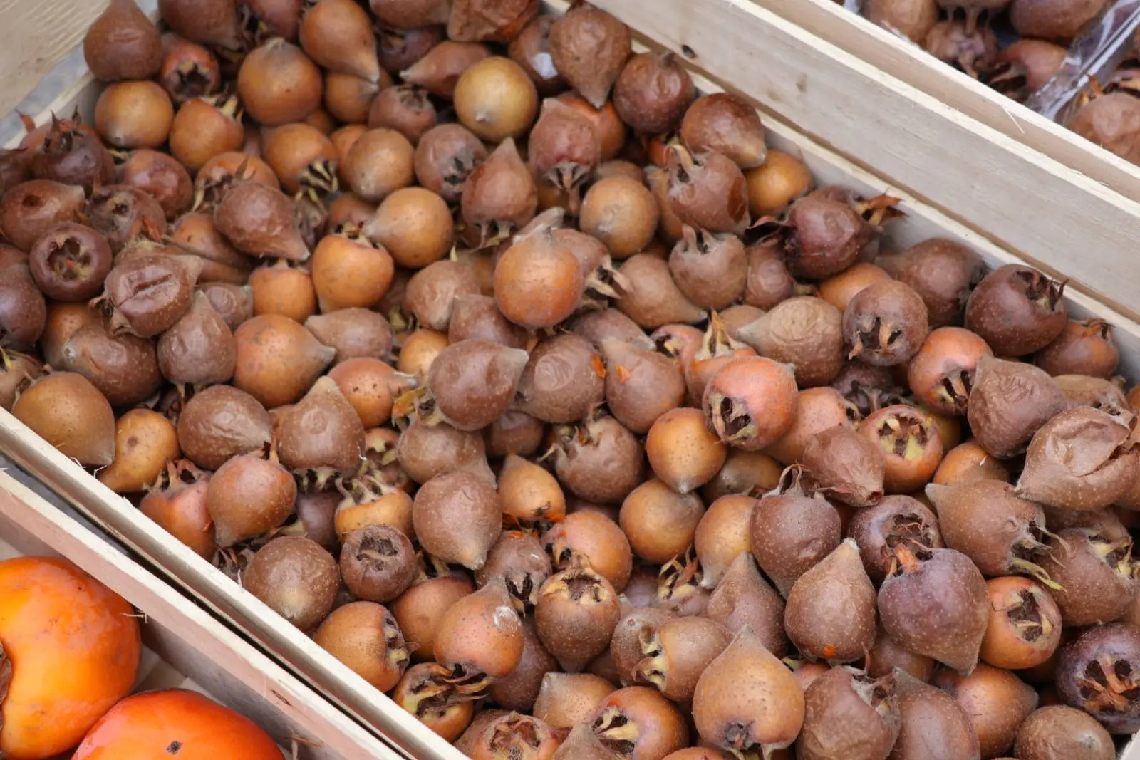 Stjepan Bogomolec, kaki, Prelog, tržnica, jabuke, kivi, mušmula (5) Stjepan Bogomolec, kaki, Prelog, tržnica, jabuke, kivi, mušmula (5)