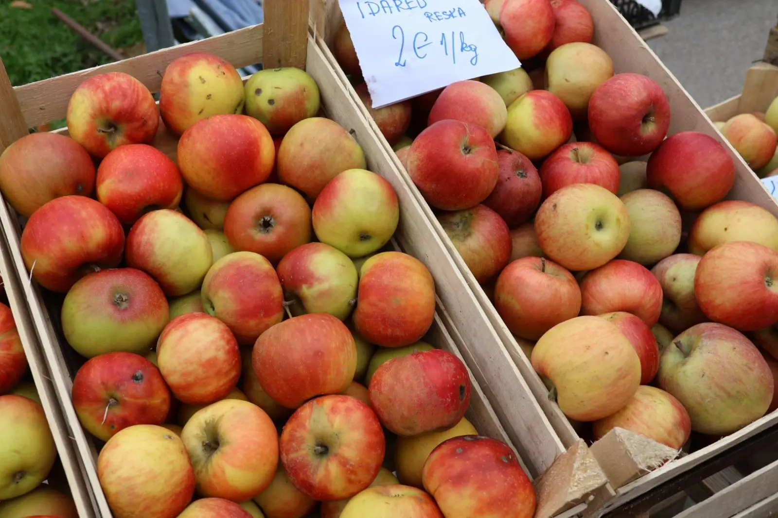 Stjepan Bogomolec, kaki, Prelog, tržnica, jabuke, kivi, mušmula (7) Stjepan Bogomolec, kaki, Prelog, tržnica, jabuke, kivi, mušmula (7)