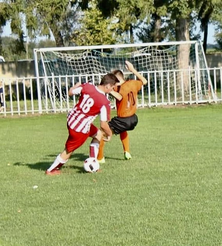 Stjepan Horvat, Gardinovec (1)