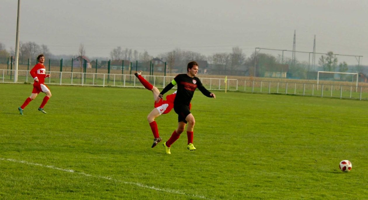 Stjepan Horvat, Gardinovec (11)