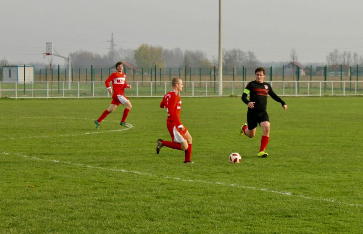 Stjepan Horvat, Gardinovec (12)