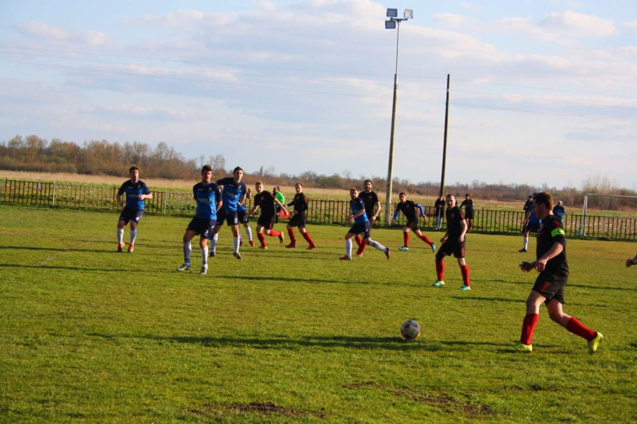 Stjepan Horvat, Gardinovec (13)