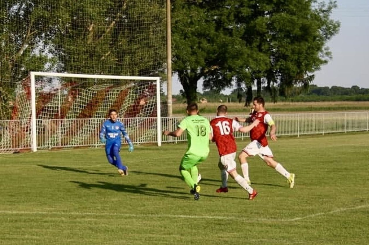 Stjepan Horvat, Gardinovec (3)