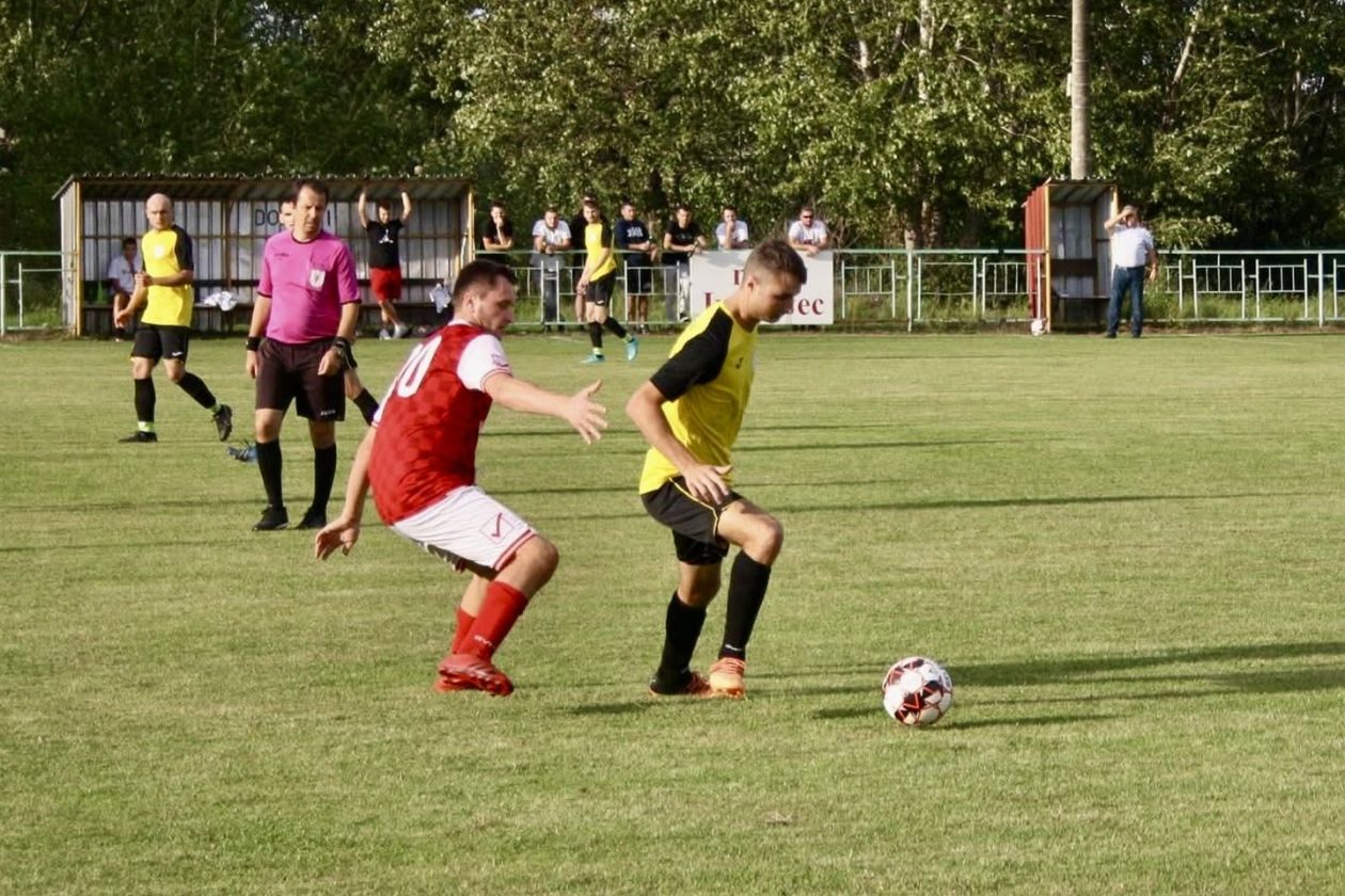 Stjepan Horvat, Gardinovec (4)