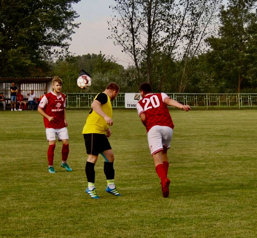 Stjepan Horvat, Gardinovec (5)