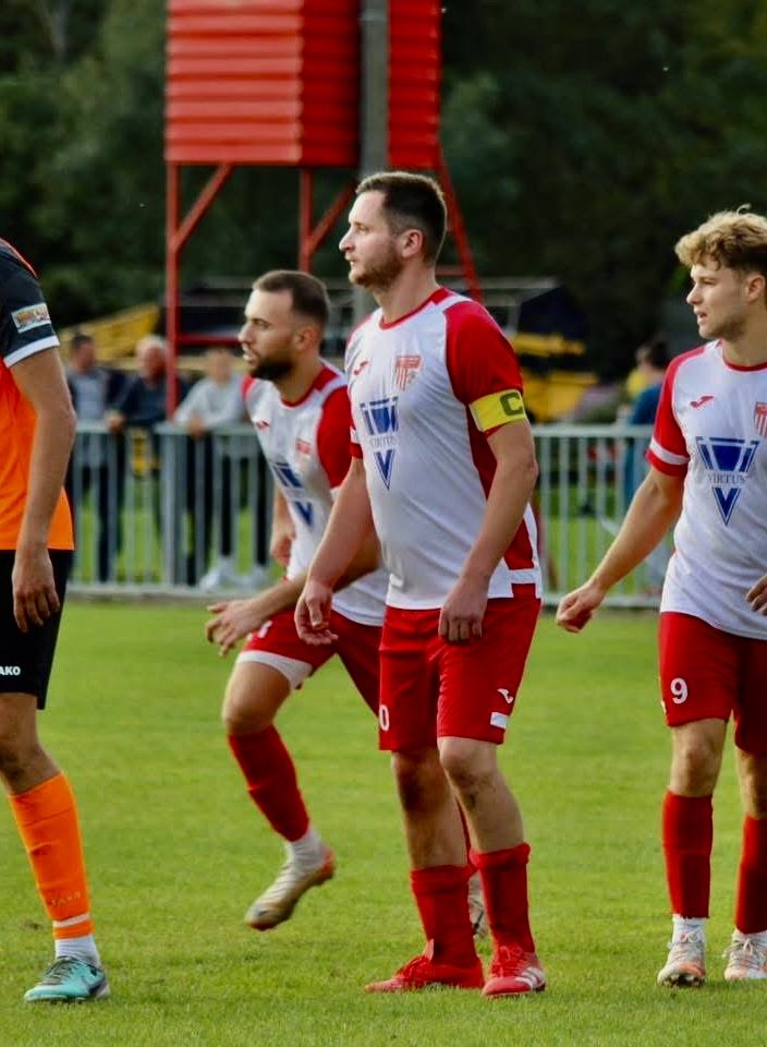 Stjepan Horvat, Gardinovec (7)