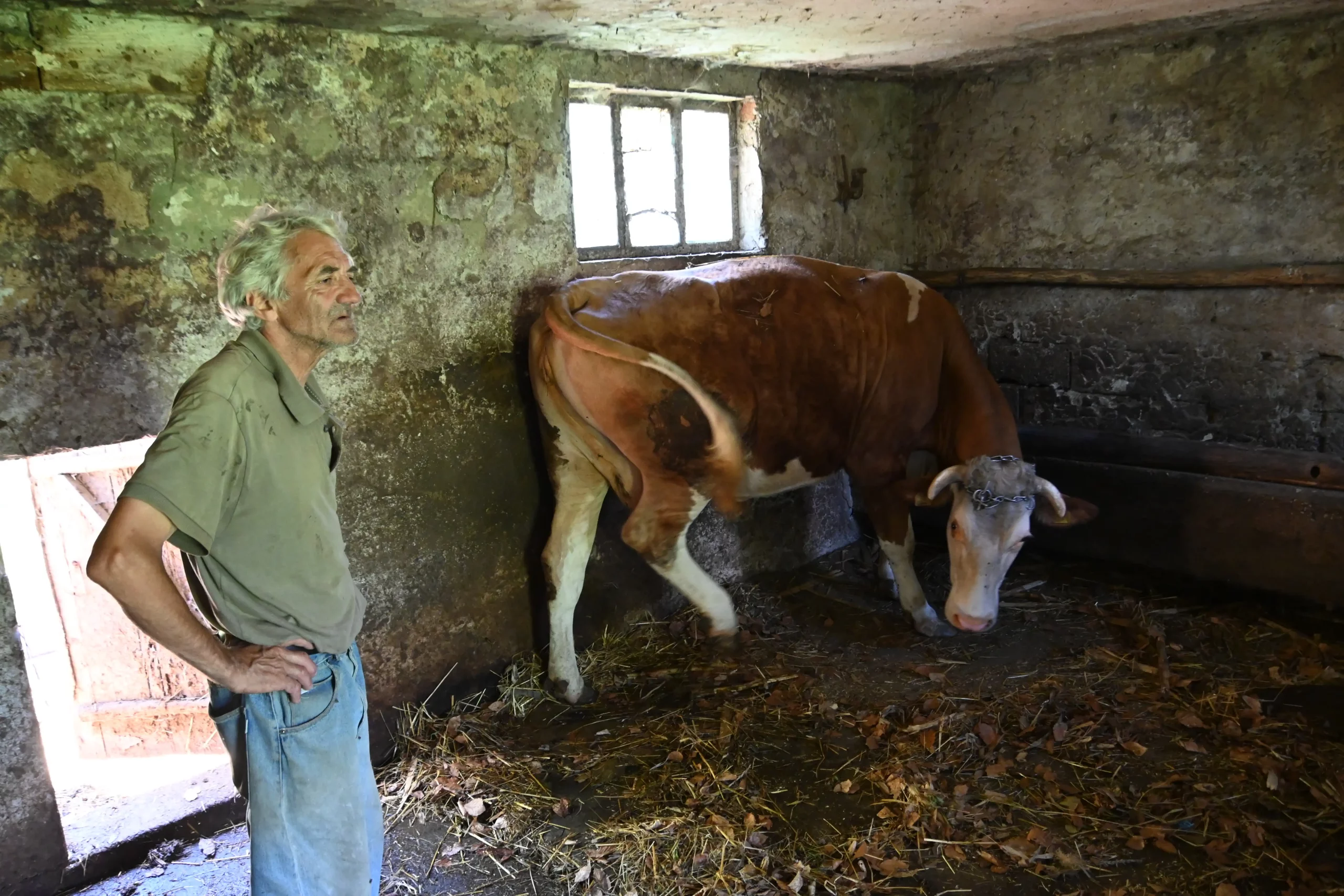 Stjepan Ladić, Tupkovec (1) Stjepan Ladić, Tupkovec (1)