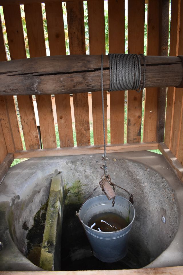 Stoljetni zdenac, gardinovec (2)