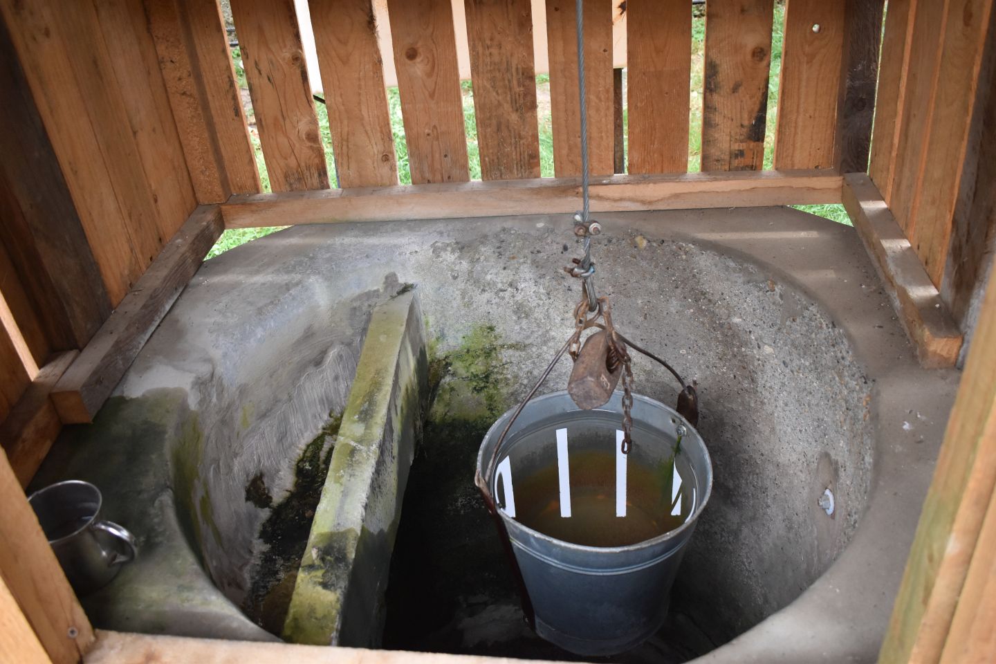 Stoljetni zdenac, gardinovec (3)