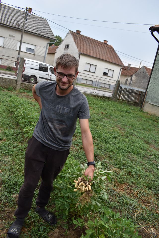 Stoljetni zdenac, gardinovec (4)