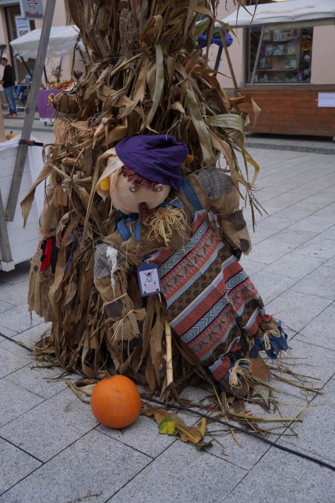 Strašila u gradu (19)
