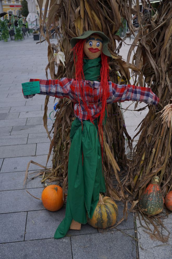 Strašila u gradu (23)