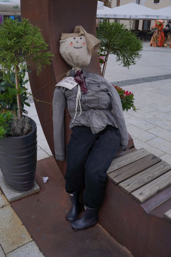 Strašila u gradu (3)