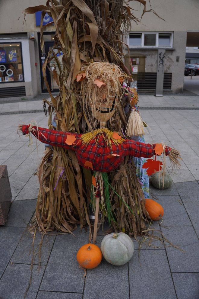 Strašila u gradu (31)