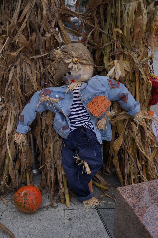 Strašila u gradu (34)