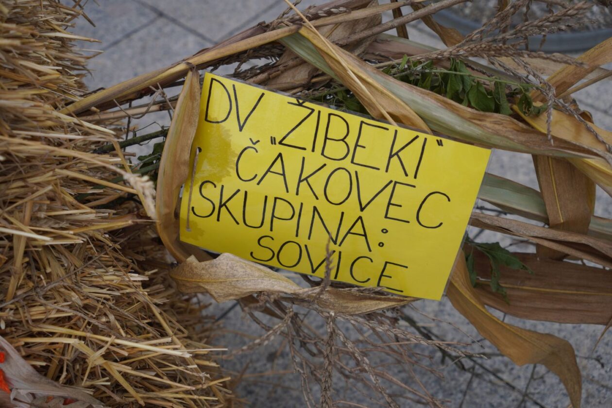 Strašila u gradu (6)