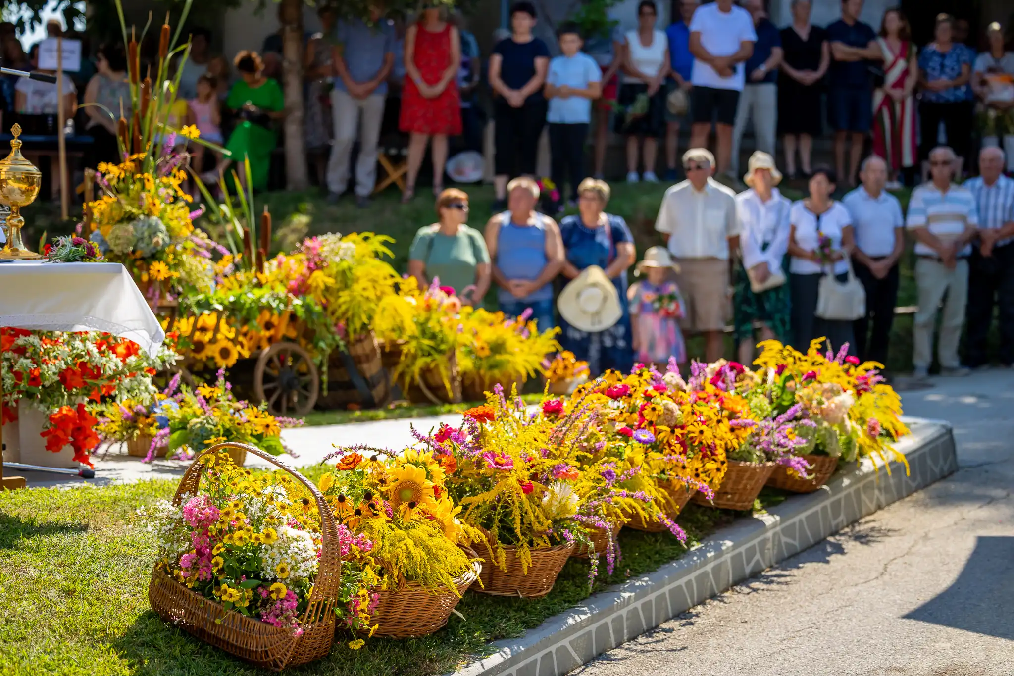 Štrigova – Šprinc 2024 (8) Štrigova – Šprinc 2024 (8)