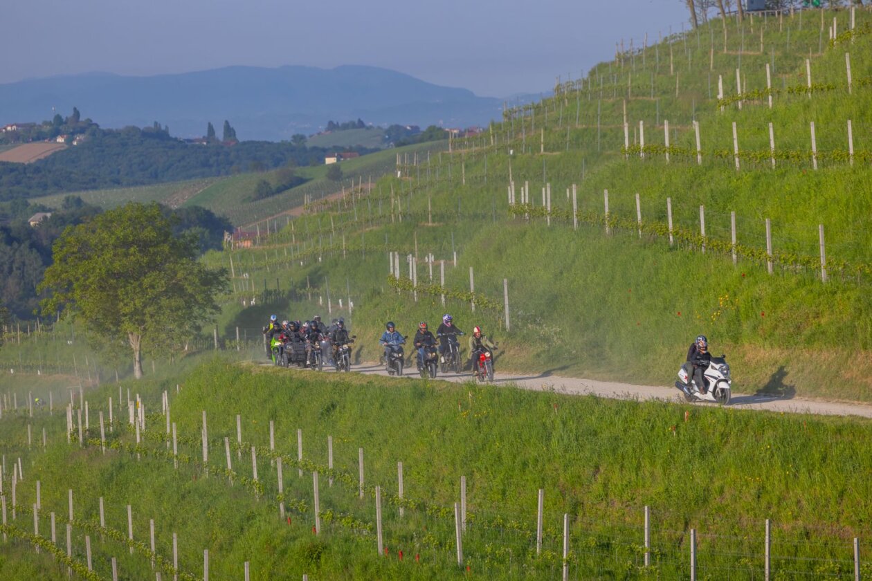 Štrigova _ prvomajska budnica 49 Štrigova _ prvomajska budnica