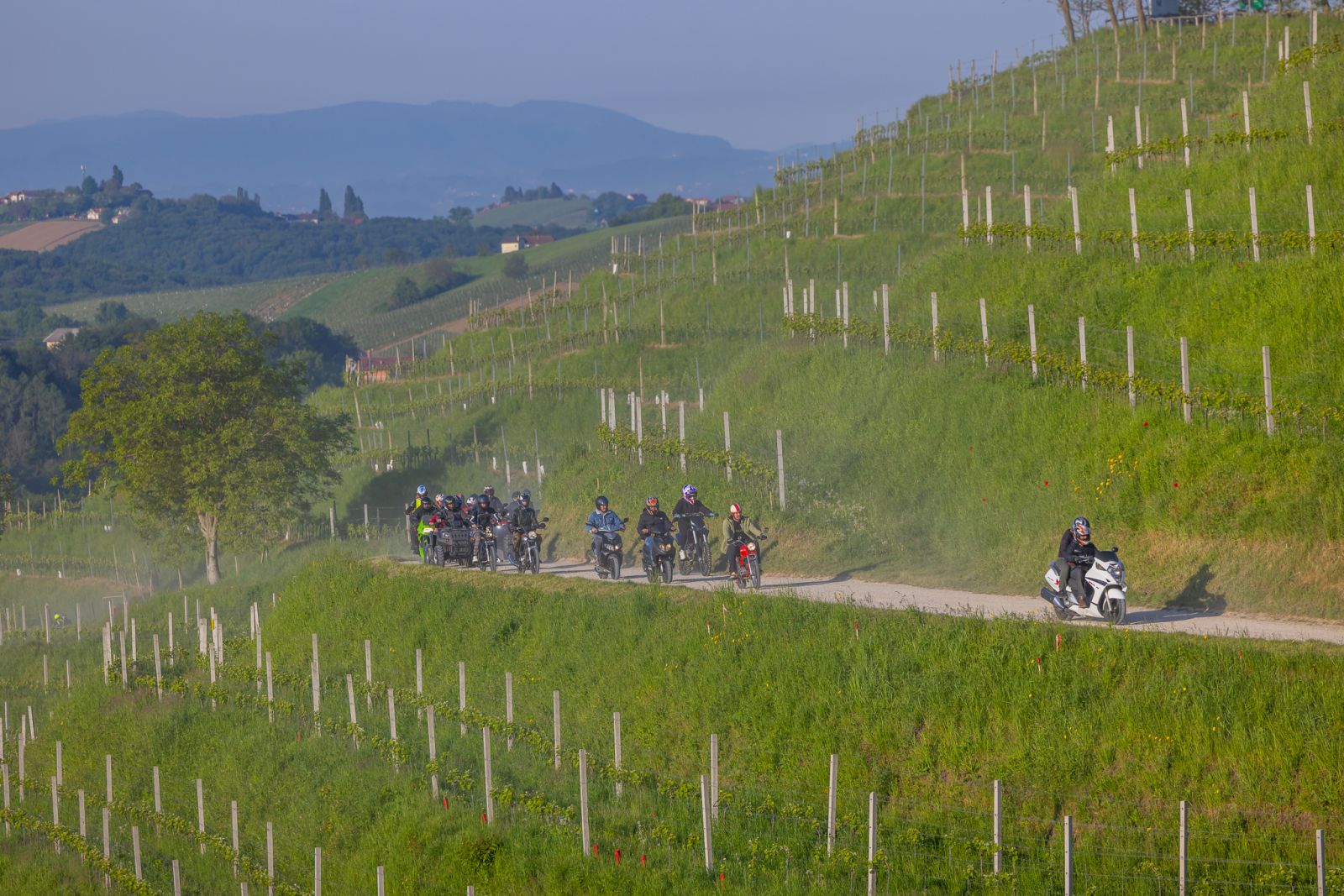 Štrigova _ prvomajska budnica 49 Štrigova _ prvomajska budnica