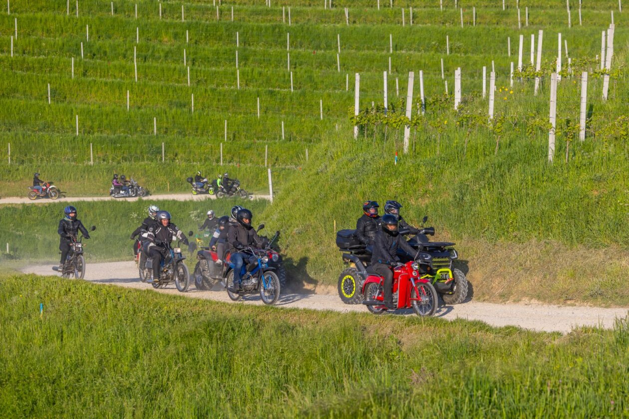 Štrigova _ prvomajska budnica 55 Štrigova _ prvomajska budnica