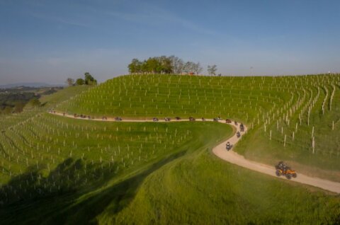 Štrigova _ prvomajska budnica 60 Štrigova _ prvomajska budnica