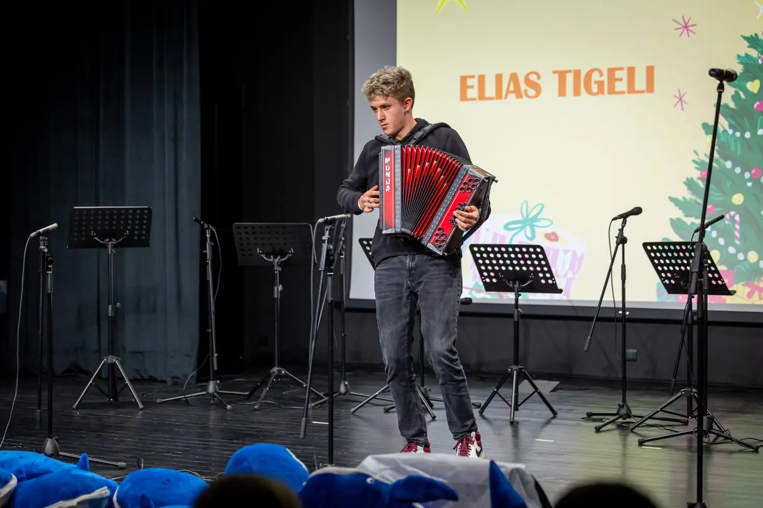 Štrigova, djeca u 2025, darovi, božićno novogodišnji koncert (27) Štrigova, djeca u 2025, darovi, božićno novogodišnji koncert (27)