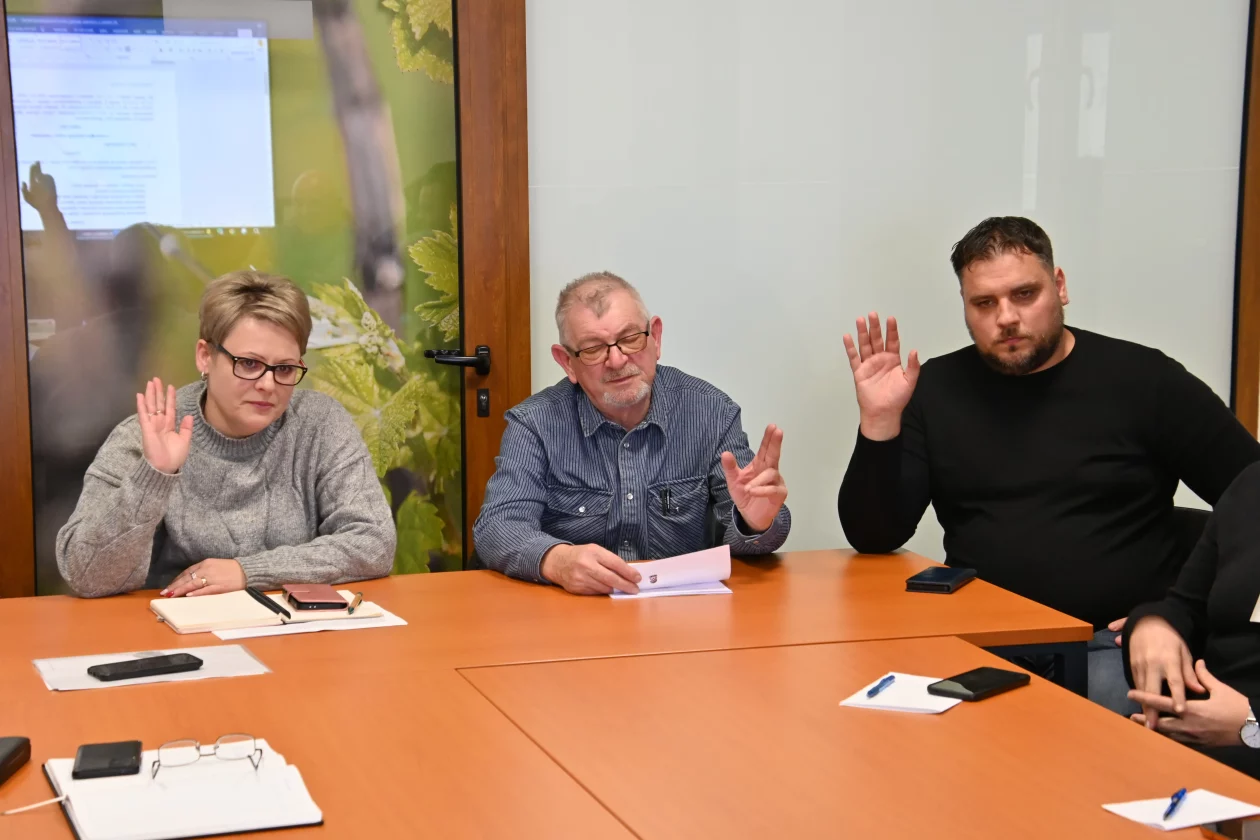 Štrigova općinsko vijeće (3)