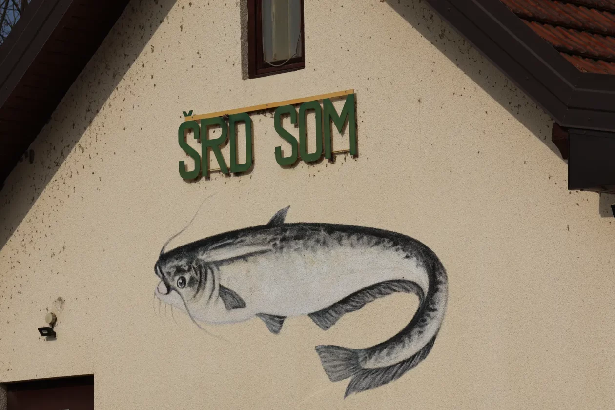 Šuder graba Kotoriba (17)