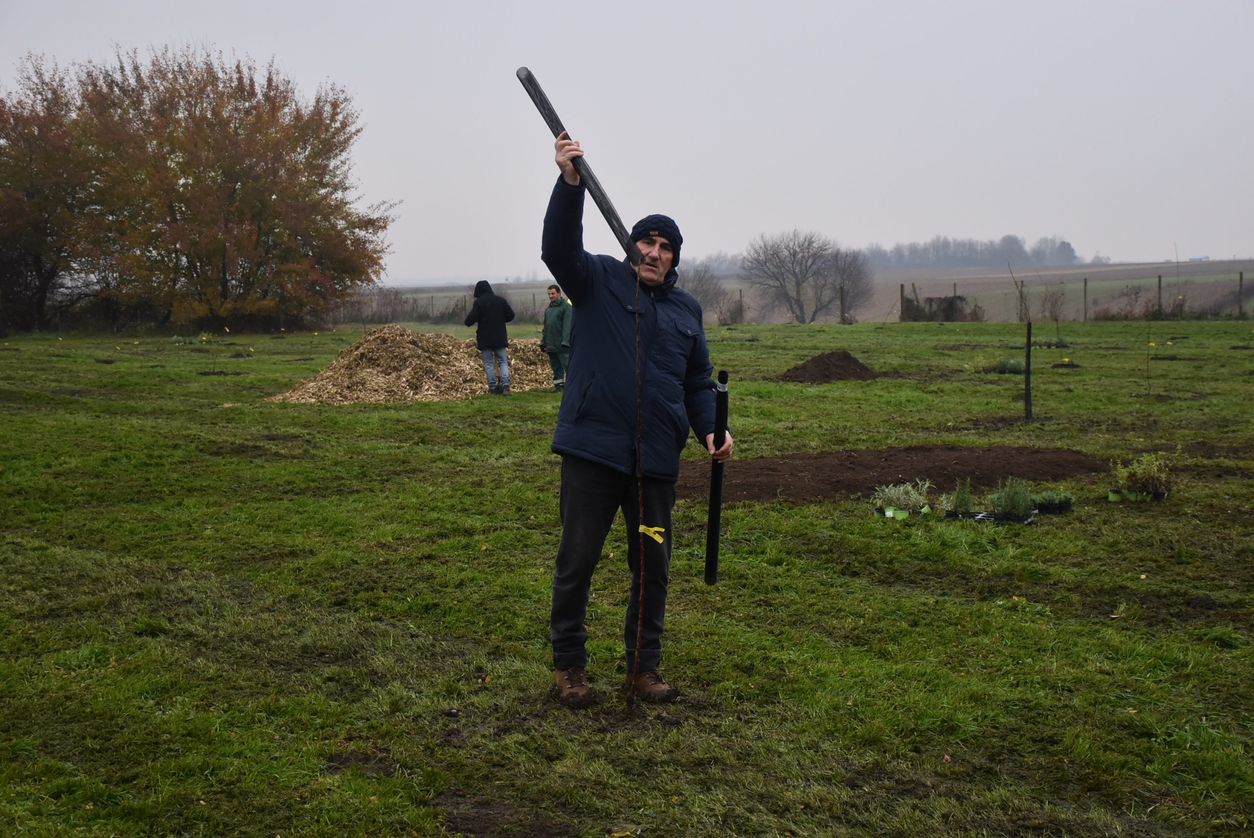 Šuma hrane, Čakom (1)