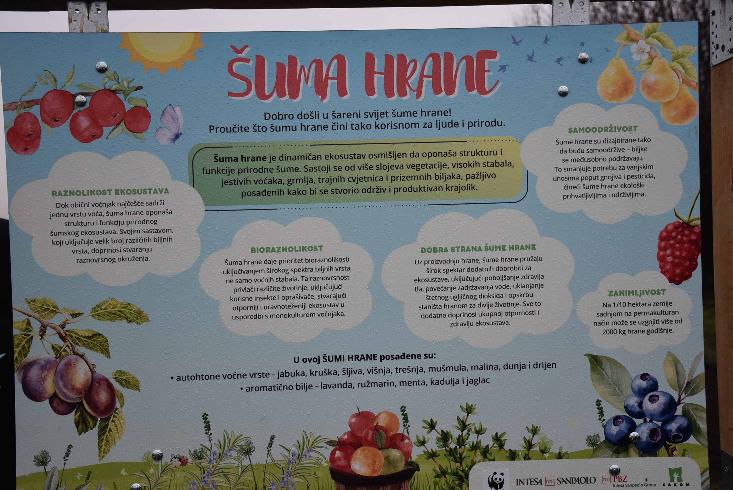 Šuma hrane, Čakom (13)