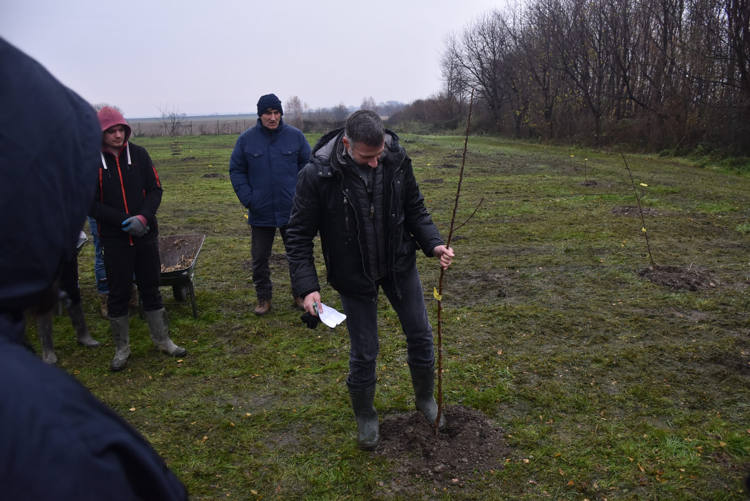 Šuma hrane, Čakom (14)