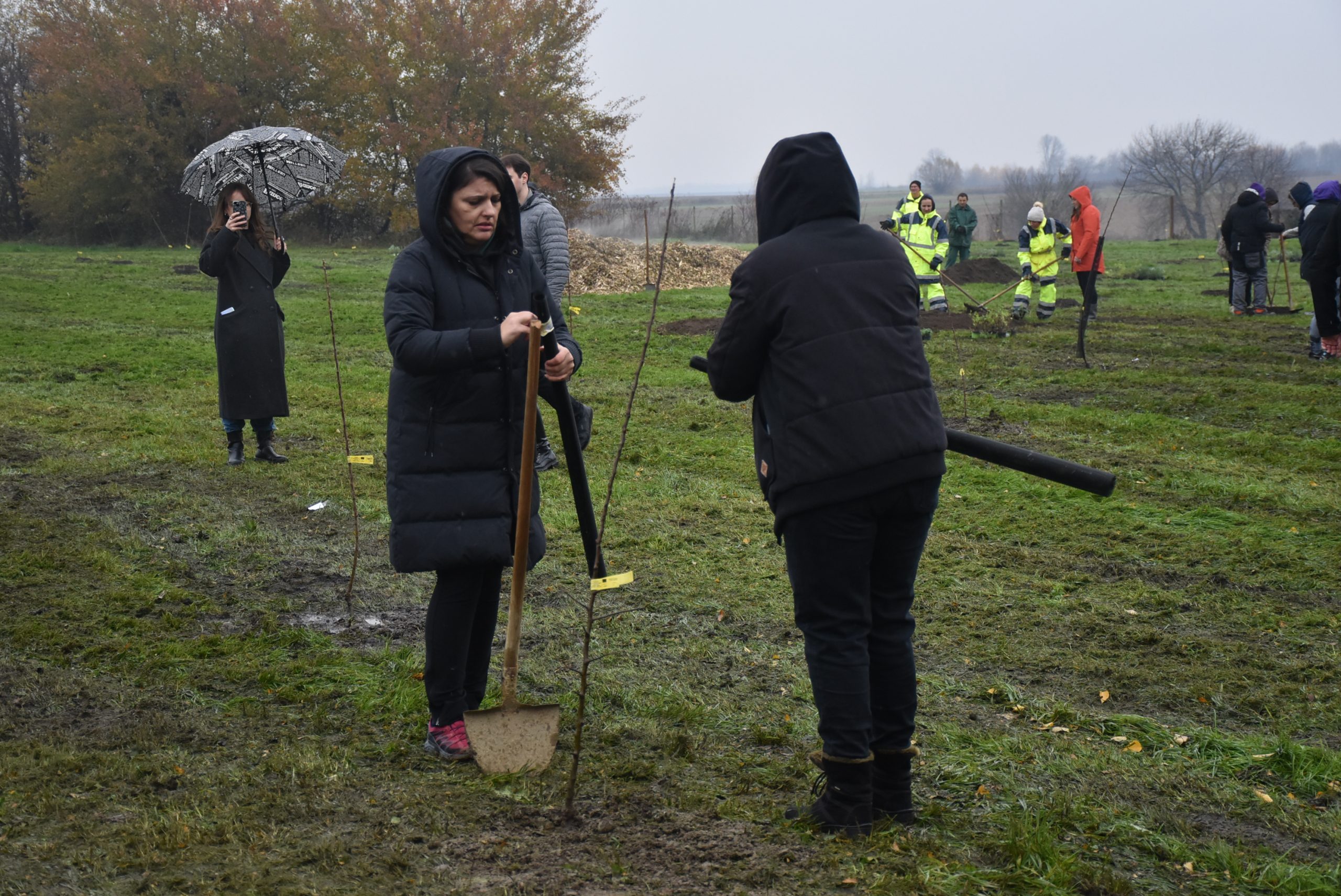 Šuma hrane, Čakom (16)