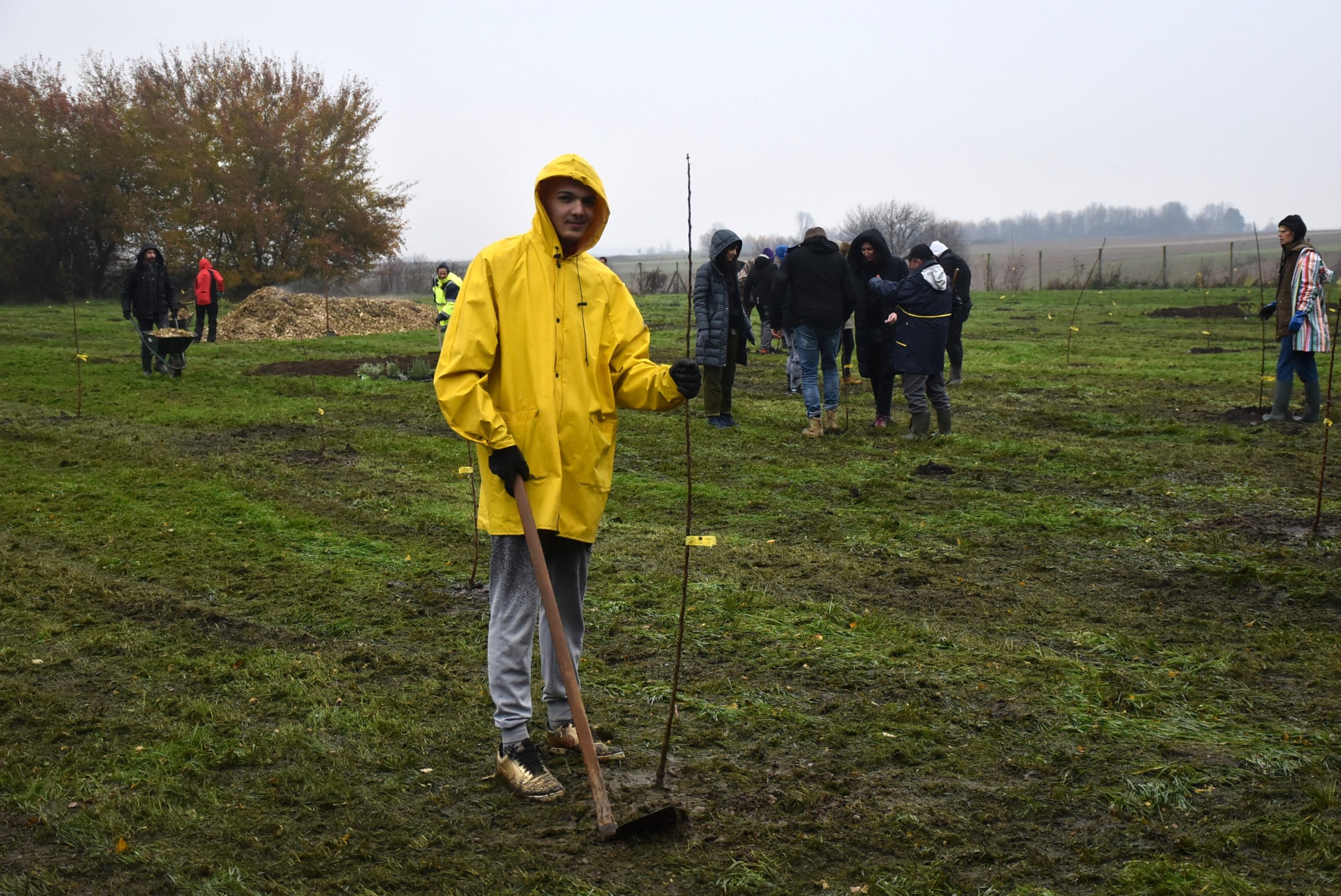 Šuma hrane, Čakom (17)
