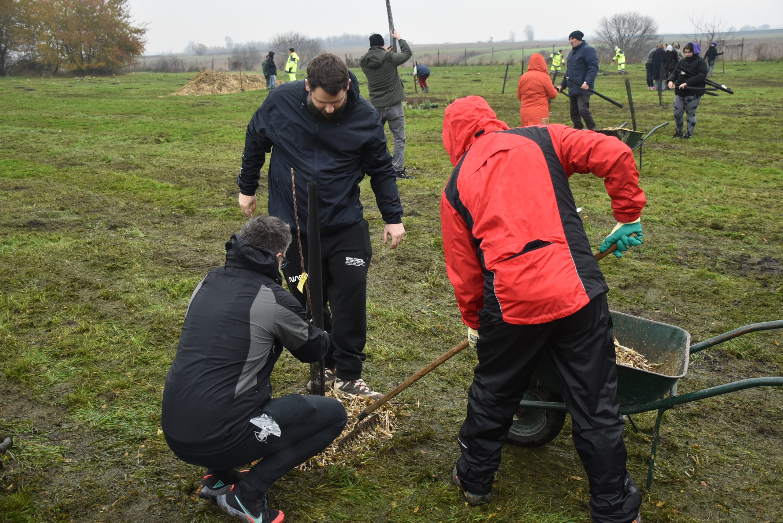 Šuma hrane, Čakom (22)