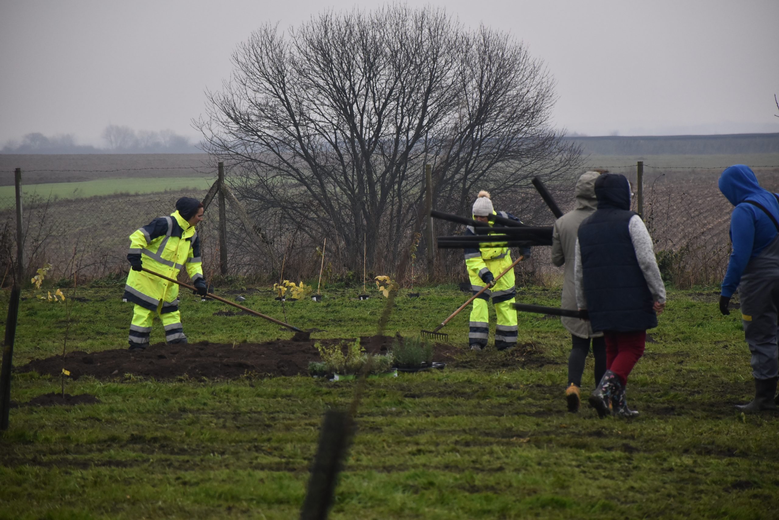 Šuma hrane, Čakom (23)