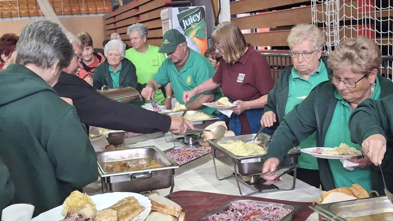 Susret umirovljenika Nedelišće 2025 (16)