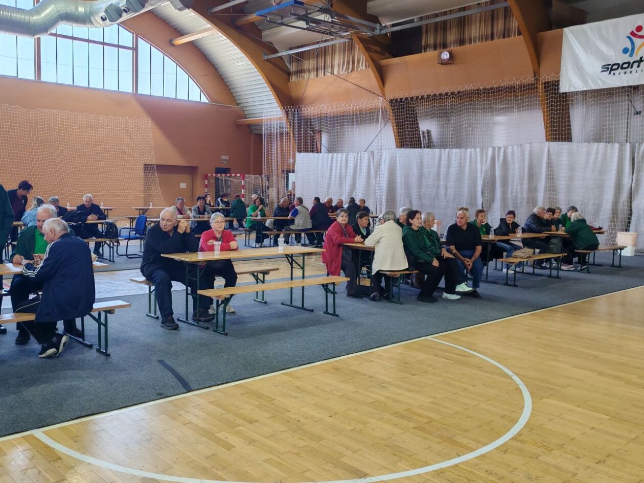 Susret umirovljenika Nedelišće 2025 (2)