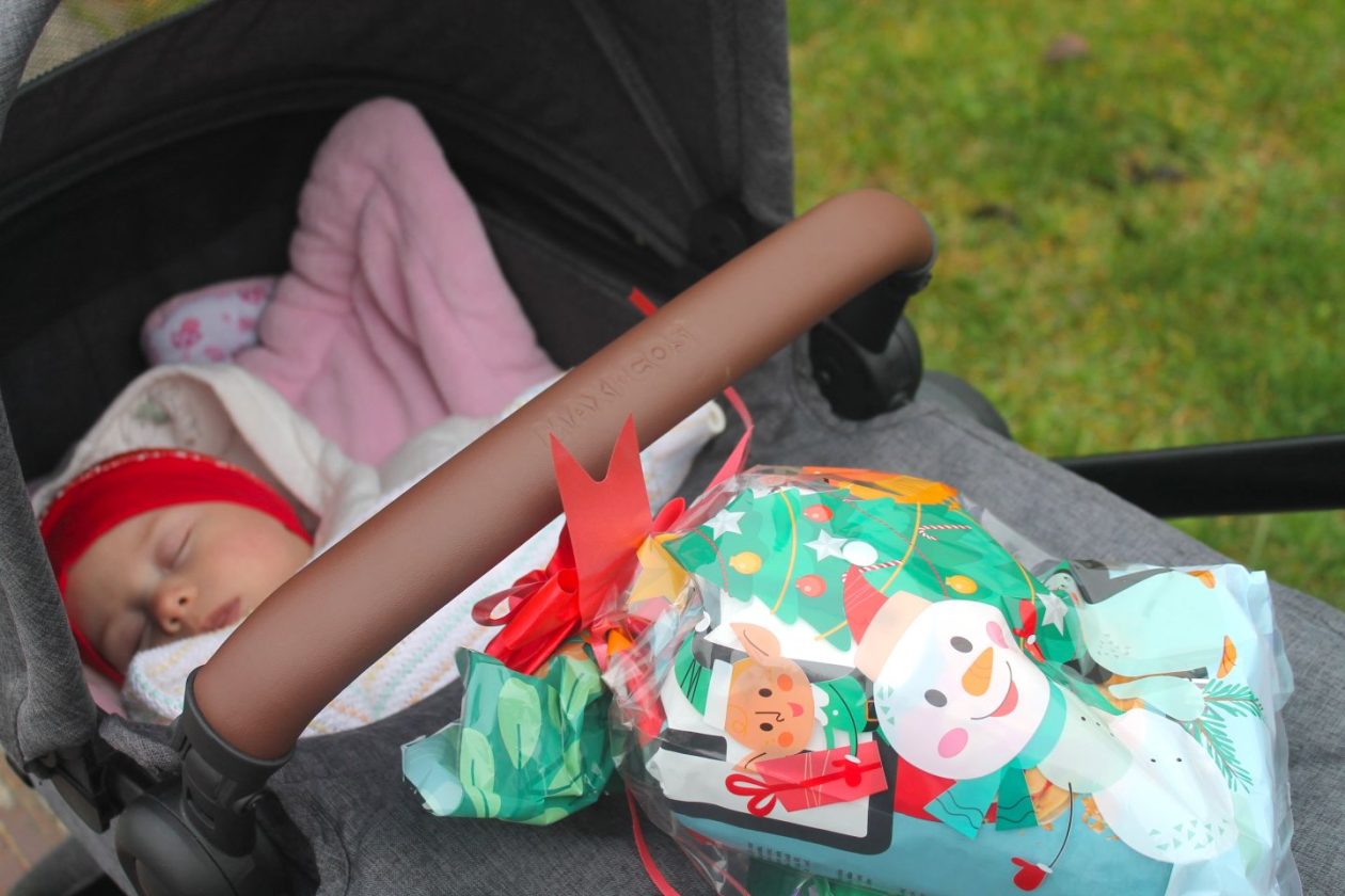 Sv. Nikola Gardinovec (34)