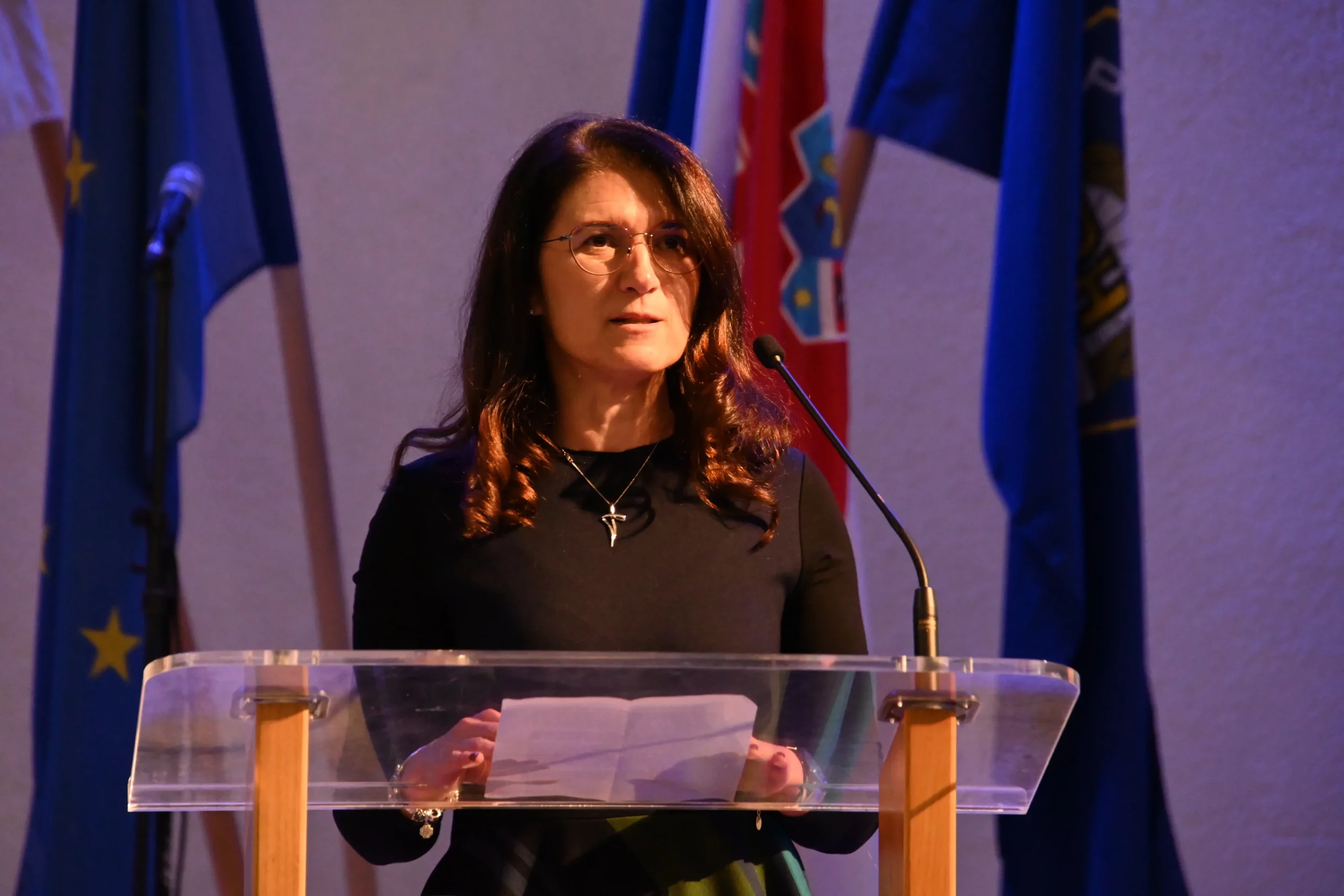 Ljerka Cividini Ljerka Cividini