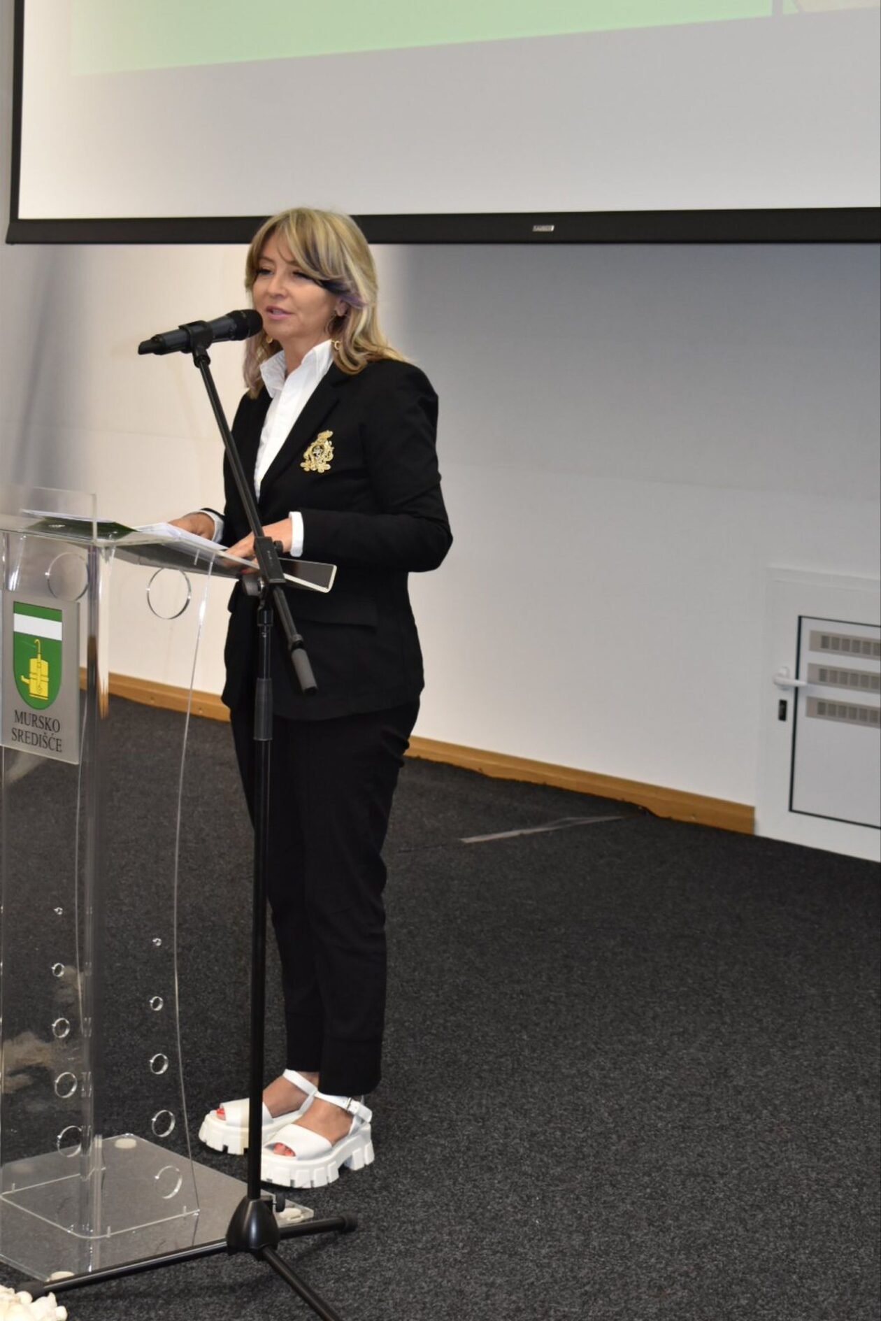 Svečana sjednica grad mursko središće 2025 10