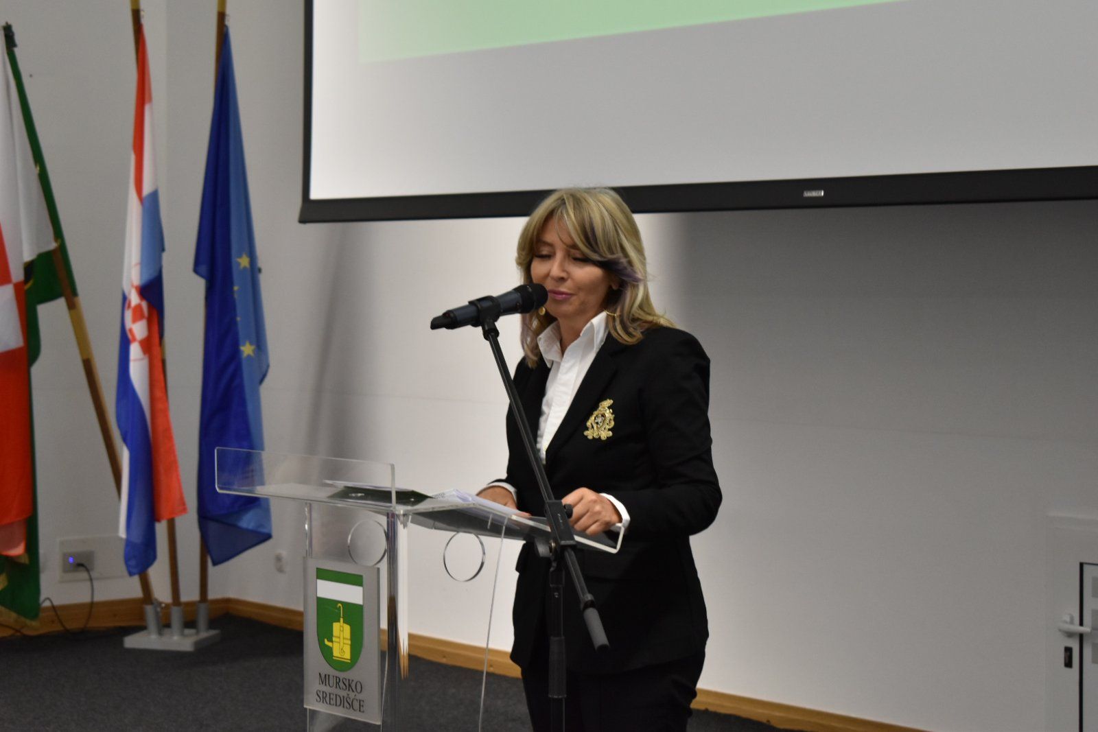 Svečana sjednica grad mursko središće 2025 11