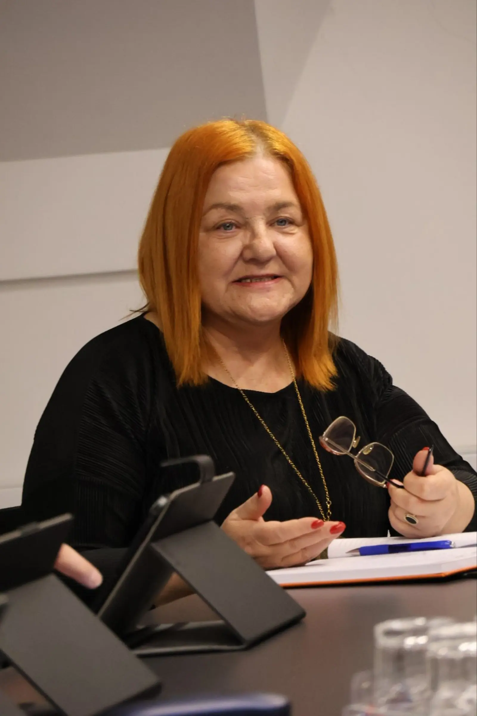 Sveta Marija Općinsko vijeće rasprava dječji vrtić inspekcija (5)