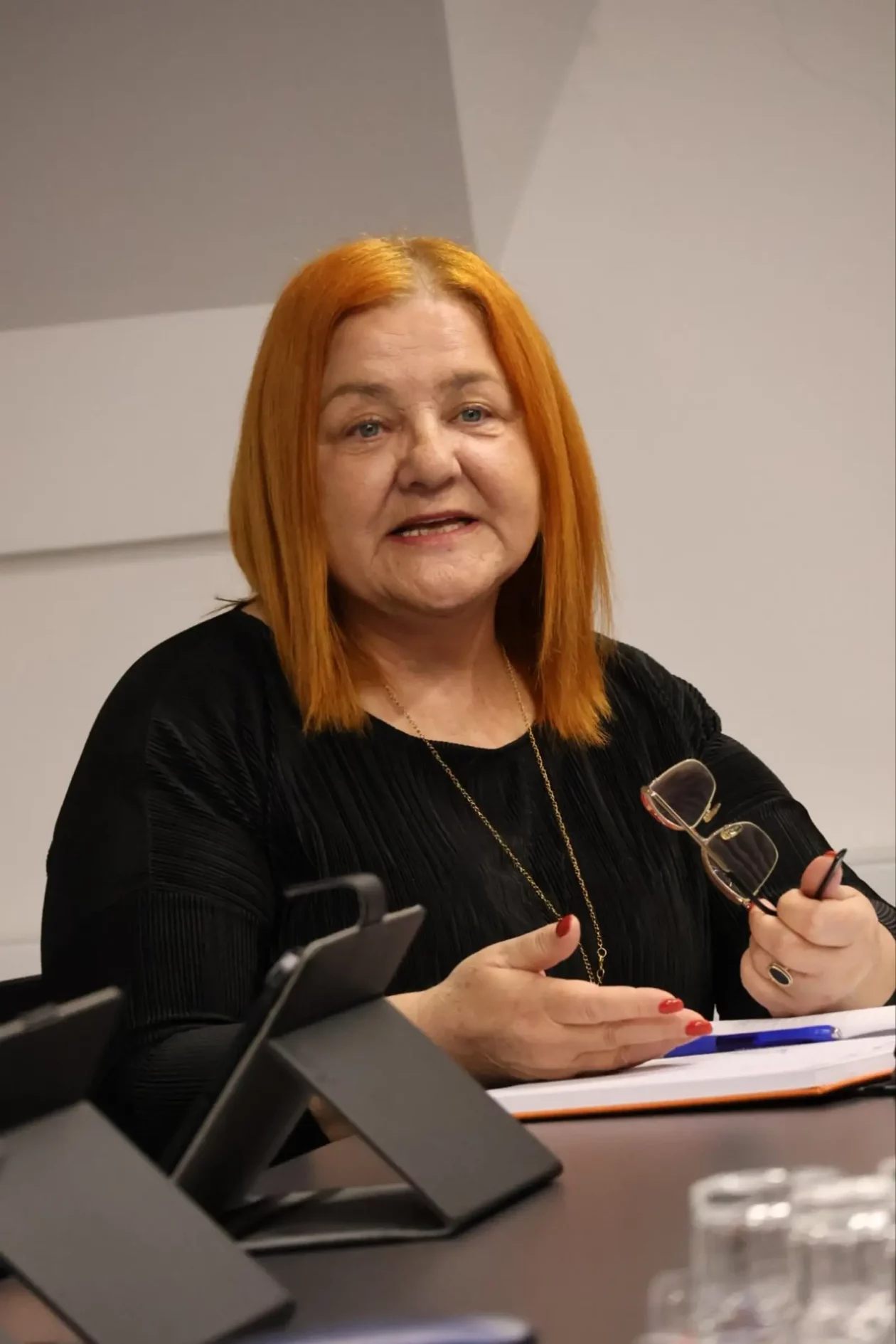 Sveta Marija Općinsko vijeće rasprava dječji vrtić inspekcija (7) Sveta Marija Općinsko vijeće rasprava dječji vrtić inspekcija (7)