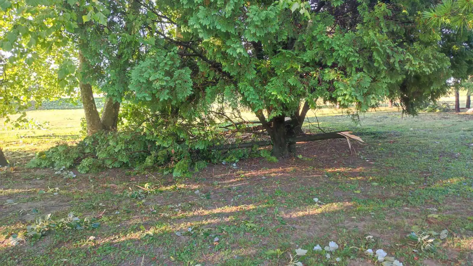 Sveta Marija nevrijeme 2. kolovoz (21) Sveta Marija nevrijeme 2. kolovoz (21)