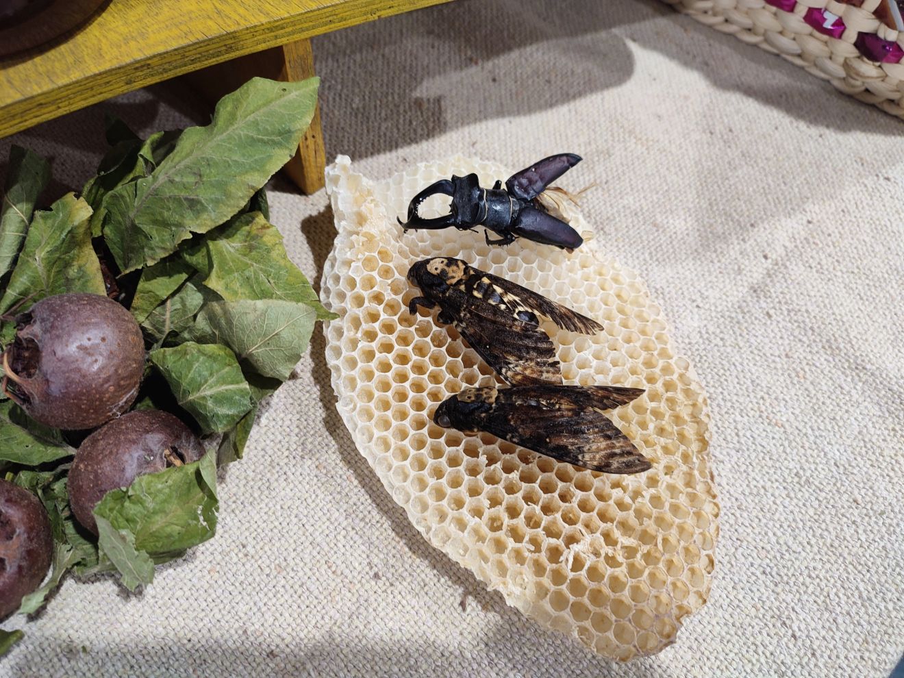 Sveti Juraj na Bregu božićni sajam (29) Sveti Juraj na Bregu božićni sajam (29)